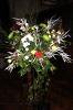 Christmas Flowers